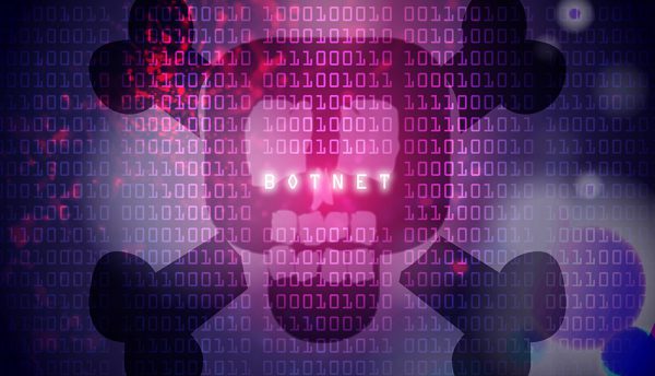 Prevent your network from being attacked by a Botnet