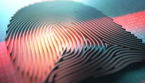 Industry experts discuss the value of digital and biometric data