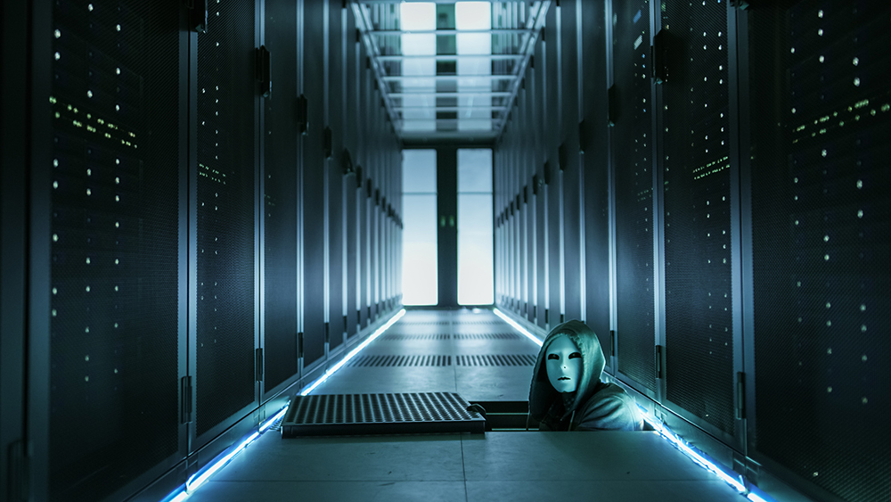 Hackers earn thousands from the most common security vulnerabilities