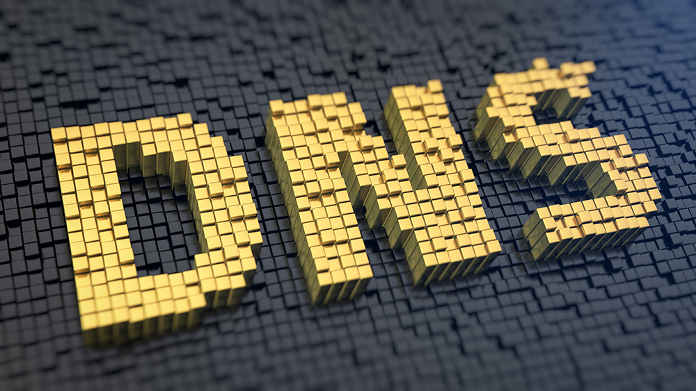 Infoblox expert on how organisations can prevent DNS attacks