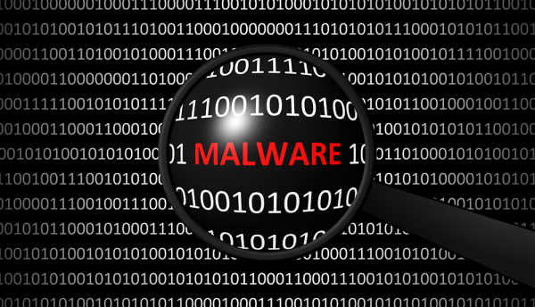 Malware variety grows by 13.7% in 2019 due to web skimmers