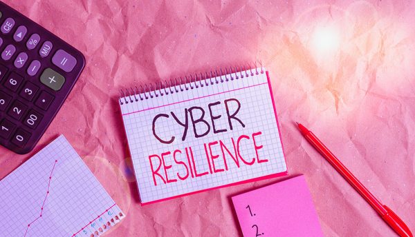 Human skill and expertise considered most important element of cyber-resilience approach