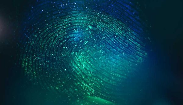 Identity management implications and how organisations can properly manage their identity