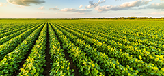 AGRAVIS Protects Critical Networks for Agricultural Solutions With Proofpoint
