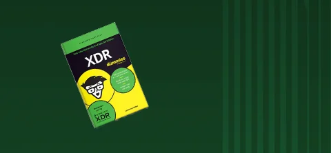 Learn How XDR for Dummies